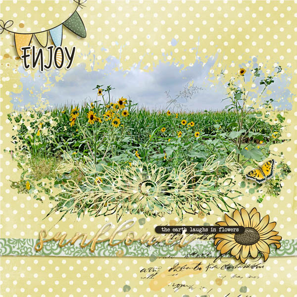 Sunflowers