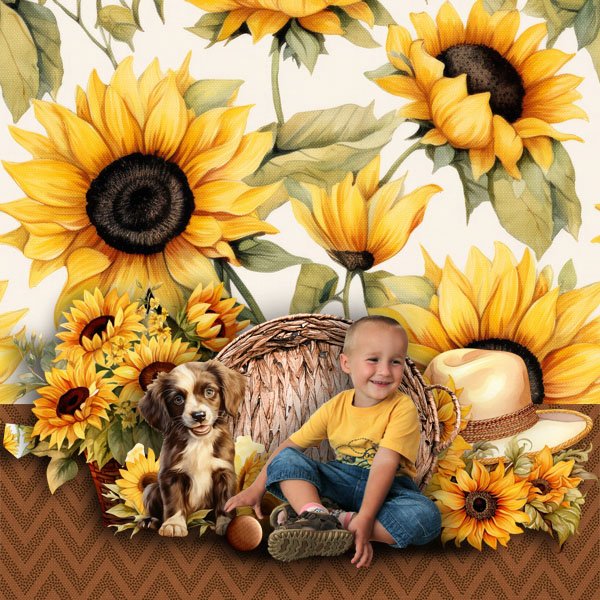 Sunflowers