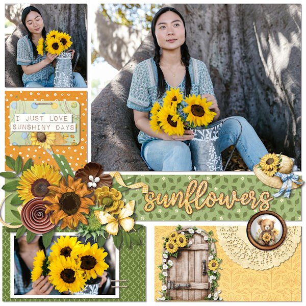 Sunflowers