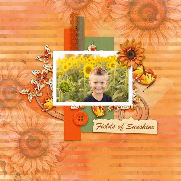 Sunflowers