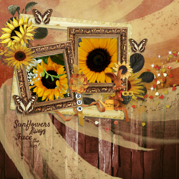 sunflowers17