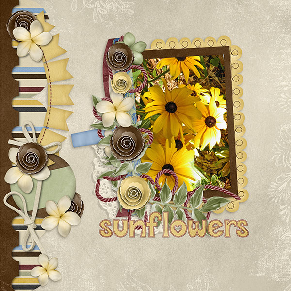 sunflowers2