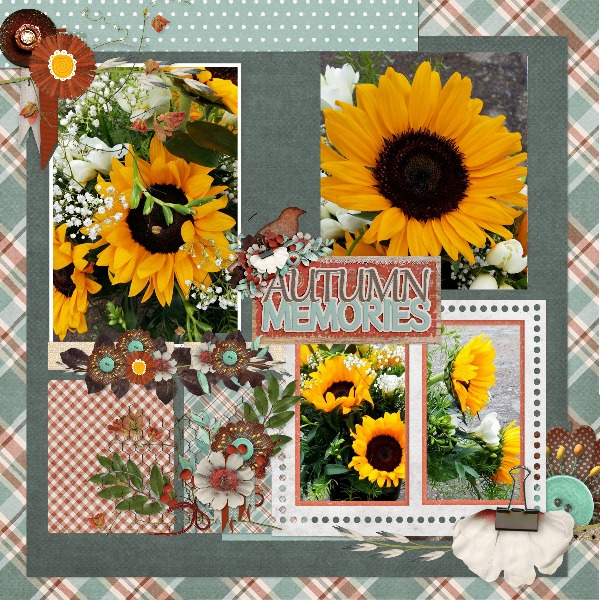 sunflowers23