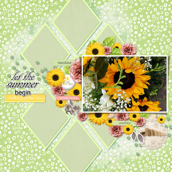 sunflowers25