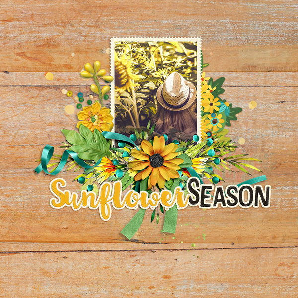 SunflowerSayings