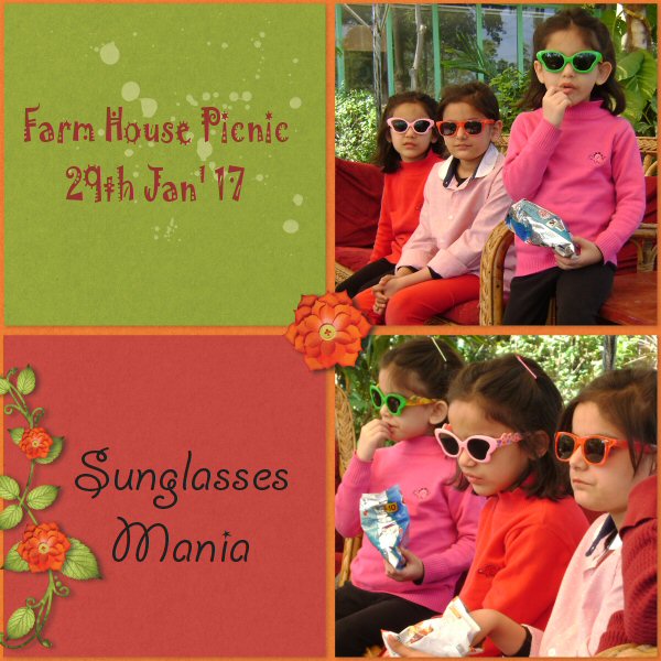 Sunglasses Mania