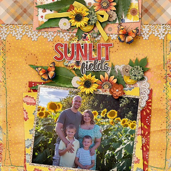 Sunlit-Fields-web.jpg