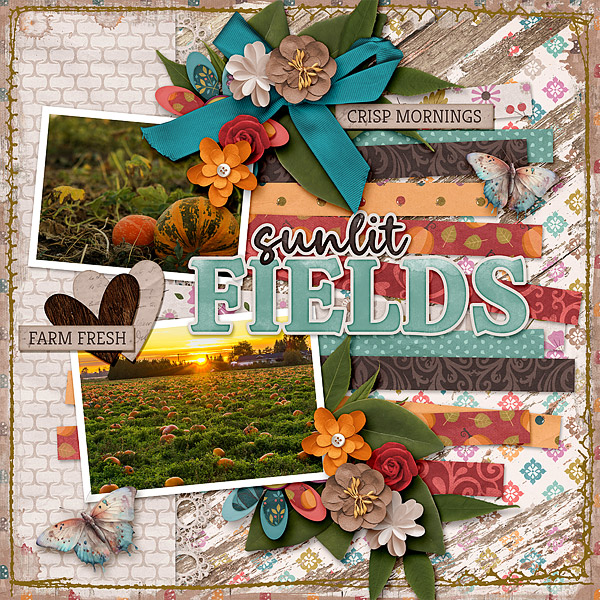 Sunlit Fields