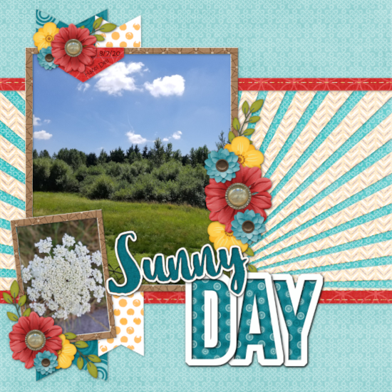 Sunny Day, August 2020