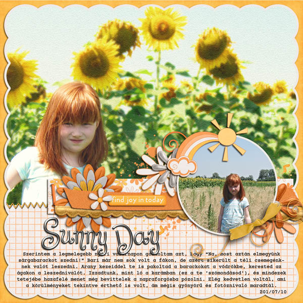Sunny Day