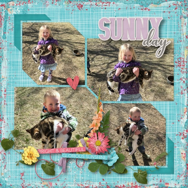 Sunny Day