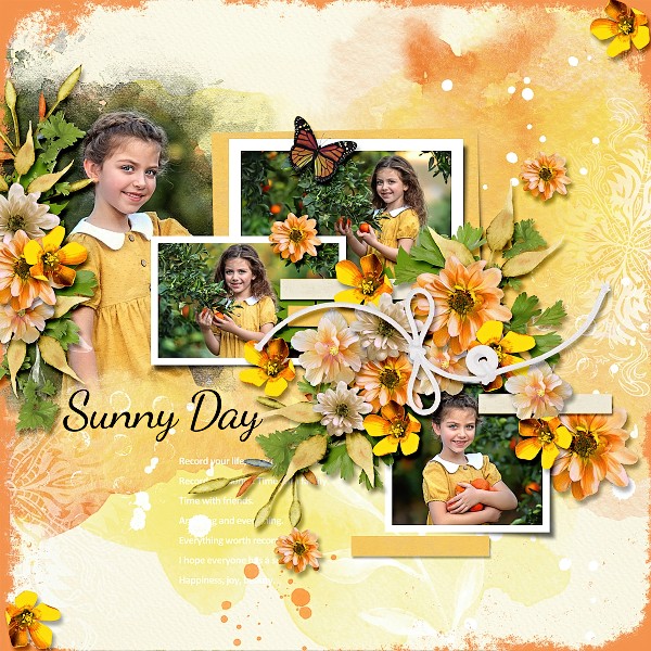 Sunny Day