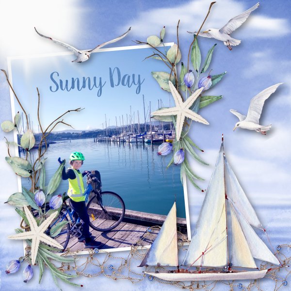 sunny day