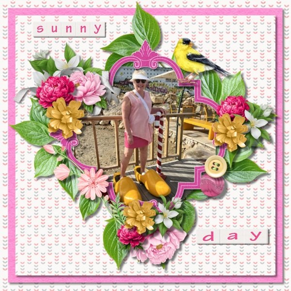 Sunny Day