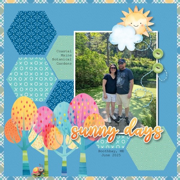 Sunny Days - June 2025.jpg