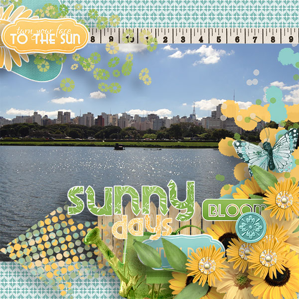 Sunny Days