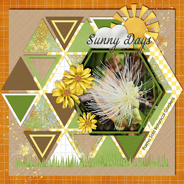 Sunny Days