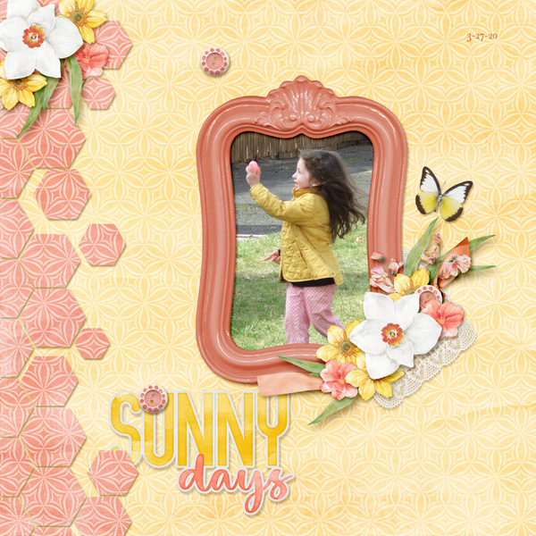 Sunny Days