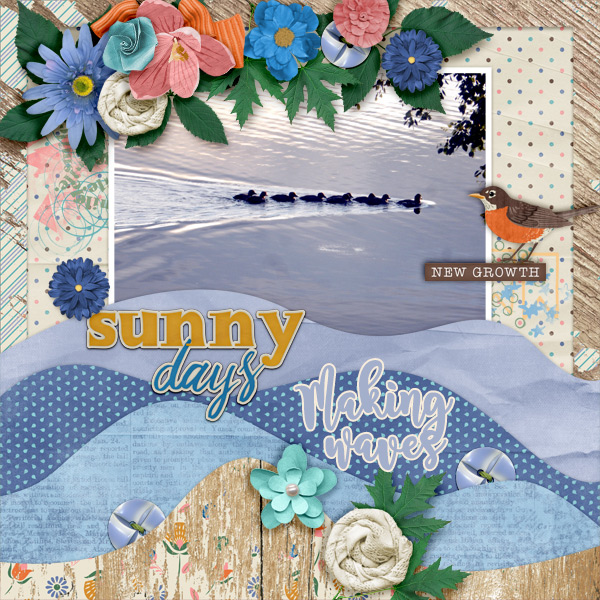 Sunny-days7