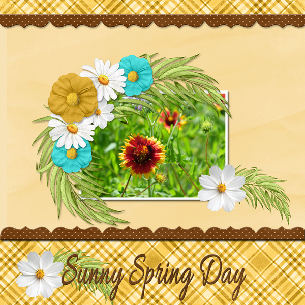 Sunny Spring Day