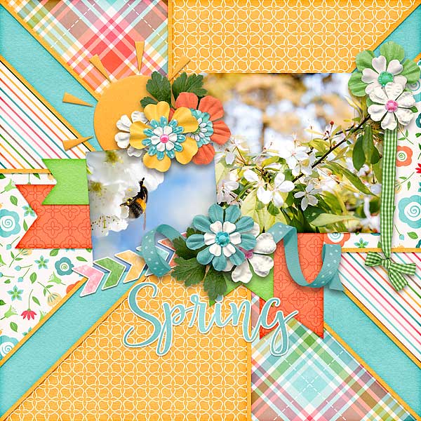 Sunny Spring