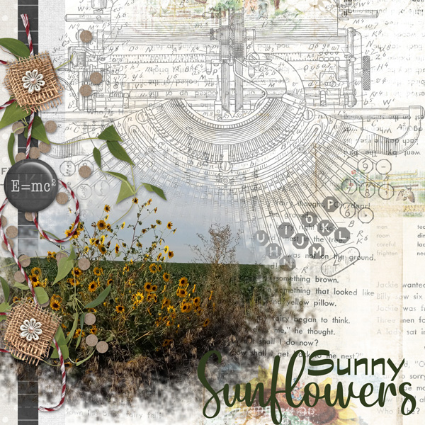 Sunny Sunflowers