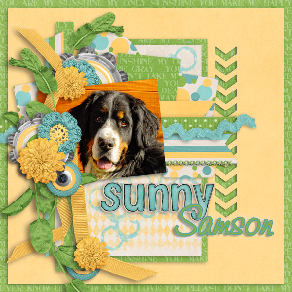 SunnySamson