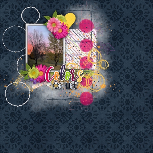 Sunrise November 2021