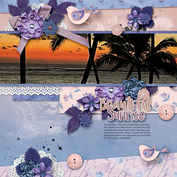 Sunset Blends