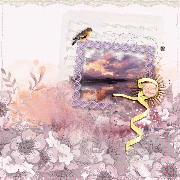 Sunset Dreams