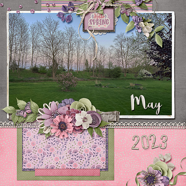 Sunset in Spring
