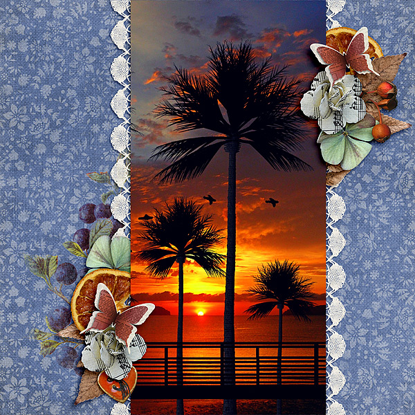 Sunset Silhouette