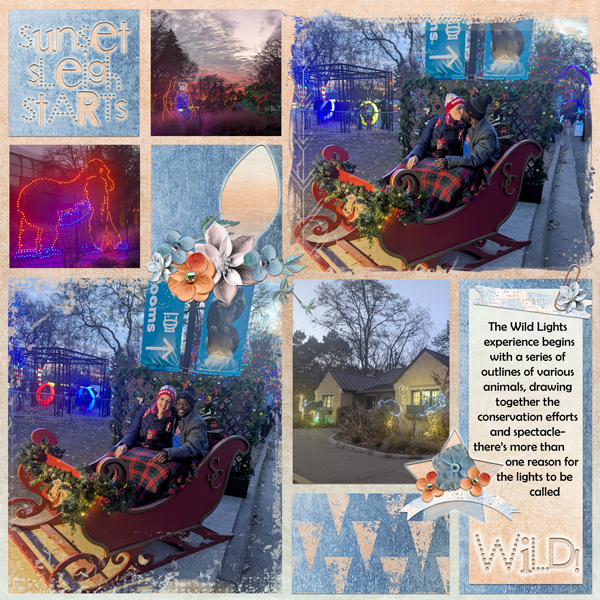 Sunset Sleigh Starts