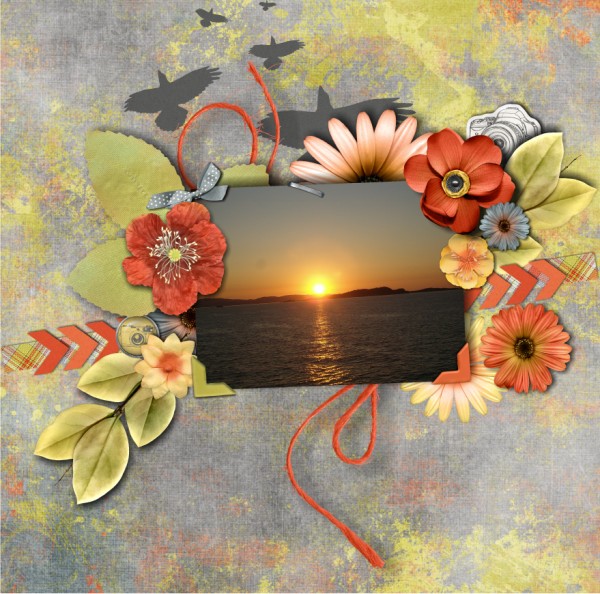 sunset7