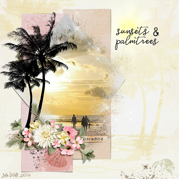 sunsets and palmtrees