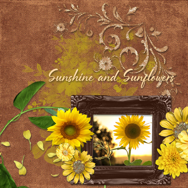 Sunshine and Sunflowers