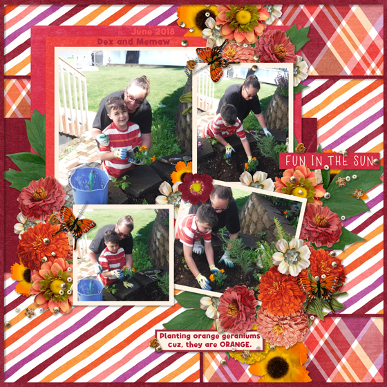 Sunshine by Designs by Connie Prince