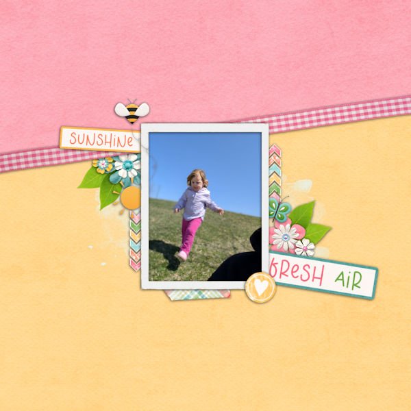 Sunshine Fresh Air