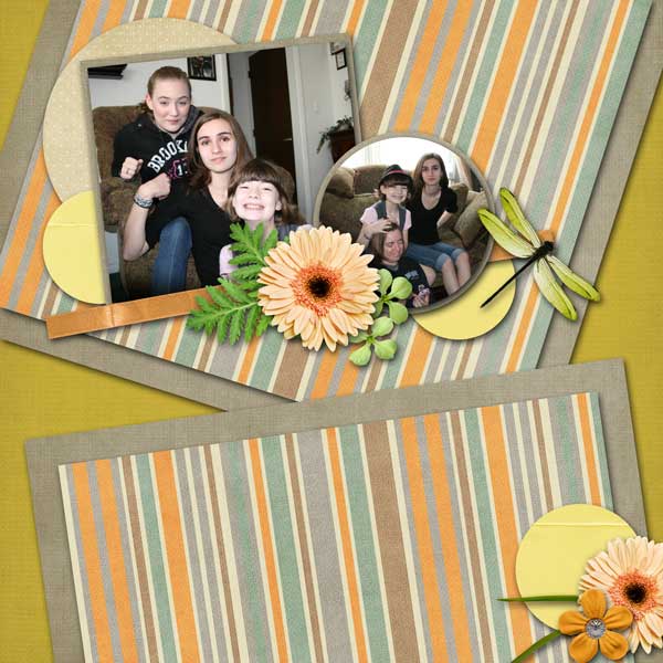 sunshine-in-spring