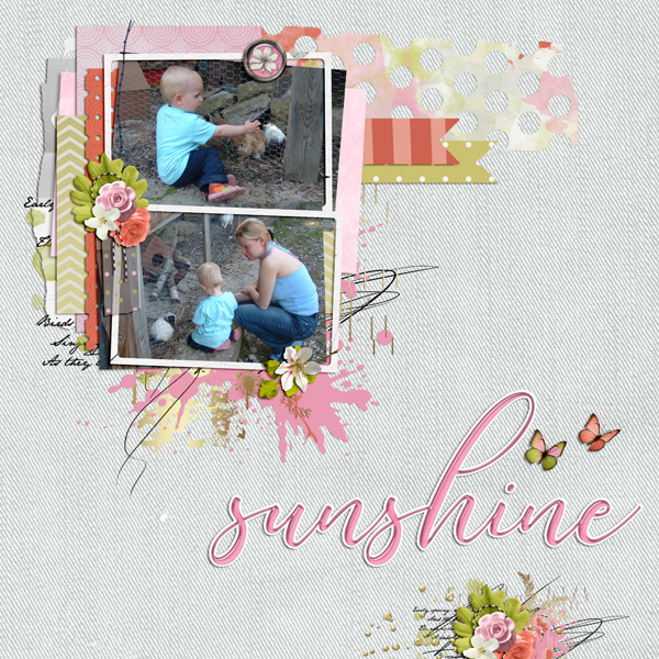 sunshine in the morning