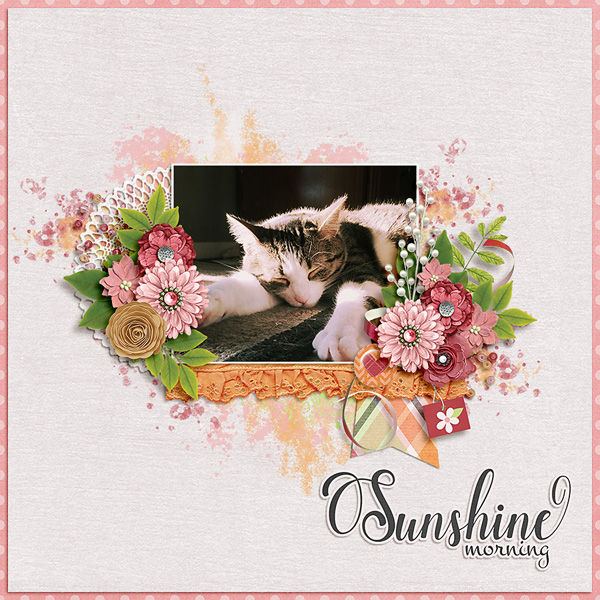 sunshine morning