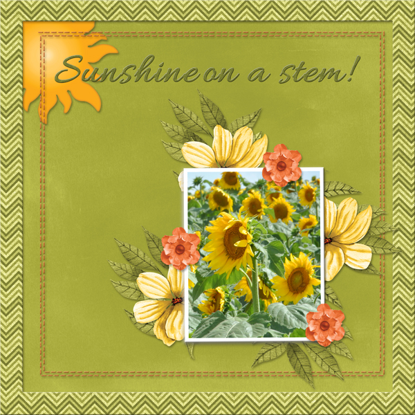 Sunshine on a stem!