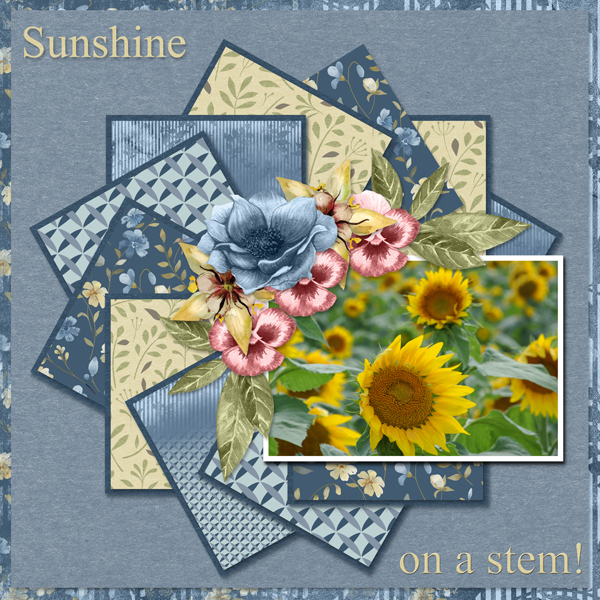 Sunshine on a stem!