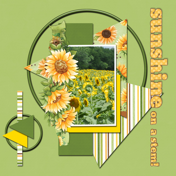 sunshine on a stem