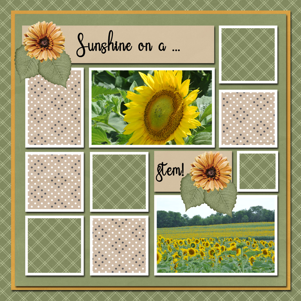 Sunshine on a stem!
