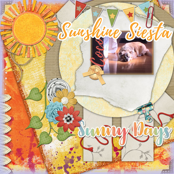 Sunshine Siesta
