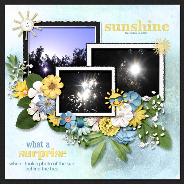 sunshine small.jpg