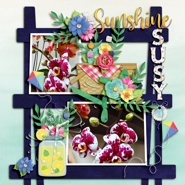 sunshine susy
