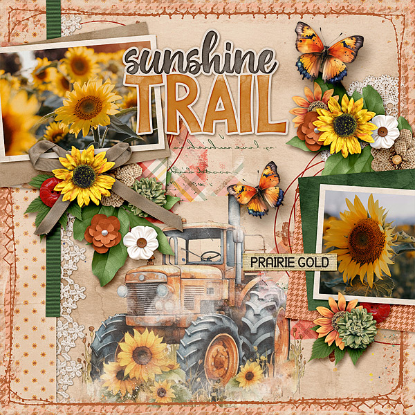 Sunshine Trail