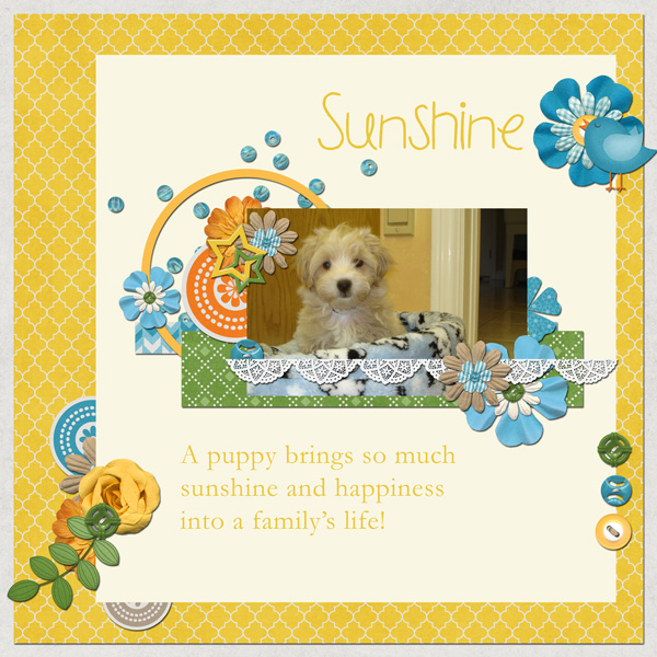 Sunshine